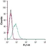 CRF2/CRHR2 (extracellular) Antibody in Flow Cytometry (Flow)