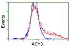 ACY3 Antibody in Flow Cytometry (Flow)