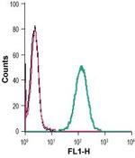 EphB4 (extracellular) Antibody in Flow Cytometry (Flow)