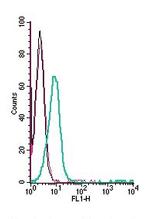 GABA(A) alpha 1 Receptor (extracellular) Antibody in Flow Cytometry (Flow)