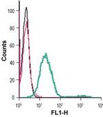 mGluR5 (extracellular) Antibody in Flow Cytometry (Flow)