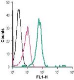 Ghrelin Receptor (GHSR) (extracellular) Antibody in Flow Cytometry (Flow)