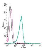 GLUT8 (extracellular) Antibody in Flow Cytometry (Flow)