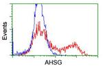 AHSG Antibody in Flow Cytometry (Flow)