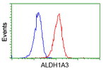 ALDH1A3 Antibody in Flow Cytometry (Flow)