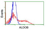 ALDOB Antibody in Flow Cytometry (Flow)