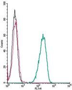 Latrophilin-1 (LPHN1) (extracellular) Antibody in Flow Cytometry (Flow)