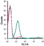 MCT1 (SLC16A1) (extracellular) Antibody in Flow Cytometry (Flow)