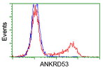 ANKRD53 Antibody in Flow Cytometry (Flow)