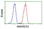 ANKRD53 Antibody in Flow Cytometry (Flow)