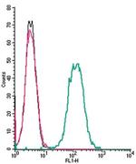 NMUR1 (extracellular) Antibody in Flow Cytometry (Flow)