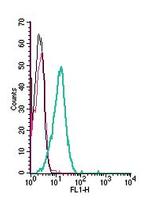 NKCC1 (SLC12A2) (extracellular) Antibody in Flow Cytometry (Flow)