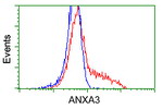 ANXA3 Antibody in Flow Cytometry (Flow)