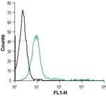 mu-Opioid Receptor (OPRM1) (extracellular) Antibody in Flow Cytometry (Flow)