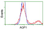 AQP1 Antibody in Flow Cytometry (Flow)