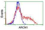 ARCN1 Antibody in Flow Cytometry (Flow)