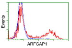 ARFGAP1 Antibody in Flow Cytometry (Flow)