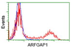 ARFGAP1 Antibody in Flow Cytometry (Flow)