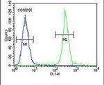 ARL8A Antibody in Flow Cytometry (Flow)