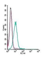 Somatostatin Receptor Type 2 (extracellular) Antibody in Flow Cytometry (Flow)