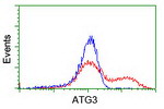 ATG3 Antibody in Flow Cytometry (Flow)