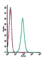 Neurokinin 1 Receptor (NK1R) (extracellular) Antibody in Flow Cytometry (Flow)