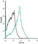 Neurokinin 1 Receptor (NK1R) (extracellular) Antibody in Flow Cytometry (Flow)