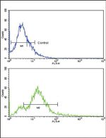 ACVR1B Antibody in Flow Cytometry (Flow)