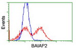 BAIAP2 Antibody in Flow Cytometry (Flow)