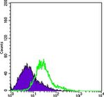 Bcl-10 Antibody in Flow Cytometry (Flow)