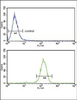 Bcl-3 Antibody in Flow Cytometry (Flow)