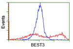 BEST3 Antibody in Flow Cytometry (Flow)