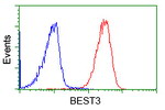 BEST3 Antibody in Flow Cytometry (Flow)