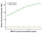 BEST3 Antibody in Luminex (LUM)
