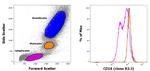 CD18 (LFA-1 beta) Antibody in Flow Cytometry (Flow)