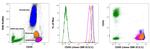 CD50 (ICAM-3) Antibody in Flow Cytometry (Flow)