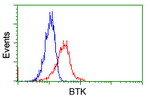 BTK Antibody in Flow Cytometry (Flow)