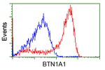 BTN1A1 Antibody in Flow Cytometry (Flow)