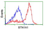 BTN1A1 Antibody in Flow Cytometry (Flow)