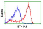 BTN1A1 Antibody in Flow Cytometry (Flow)