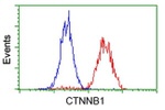 Beta-catenin Antibody in Flow Cytometry (Flow)