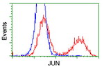 C-Jun Antibody in Flow Cytometry (Flow)