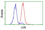 C-Jun Antibody in Flow Cytometry (Flow)