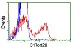 C17orf28 Antibody in Flow Cytometry (Flow)