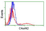 C4orf42 Antibody in Flow Cytometry (Flow)