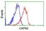 CAPN2 Antibody in Flow Cytometry (Flow)