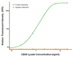 CBX8 Antibody in Luminex (LUM)