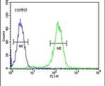 Cyclin H Antibody in Flow Cytometry (Flow)