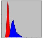 TCP-1 beta Antibody in Flow Cytometry (Flow)