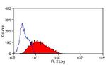 LAMP2 Antibody in Flow Cytometry (Flow)